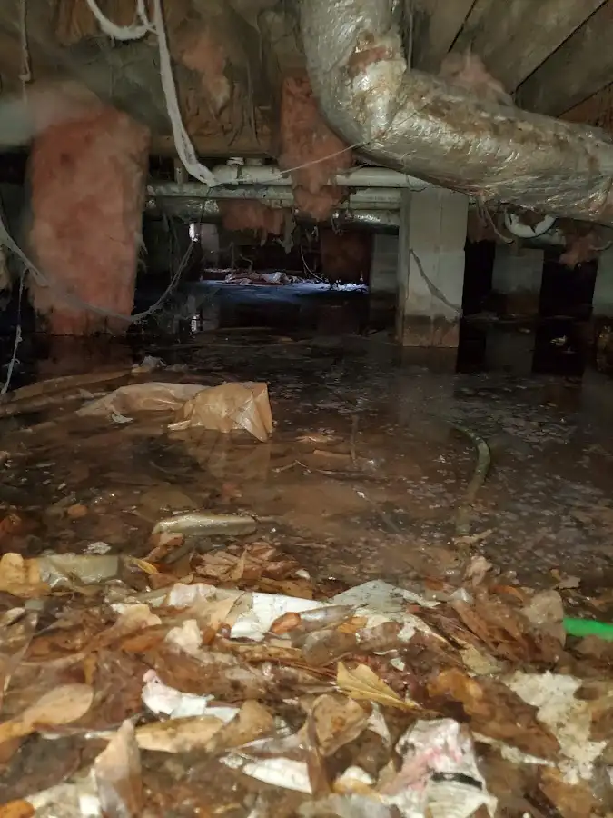 Crawl space flood assessment for Leak Detection & Repair in Haltom City